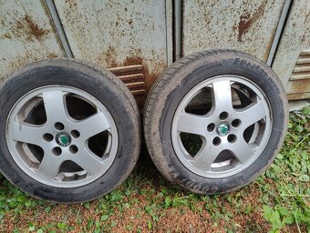 Elektrony,185,60,14,Fabia, letní - 9