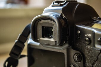 Canon Cinema EOS 1DC - 9