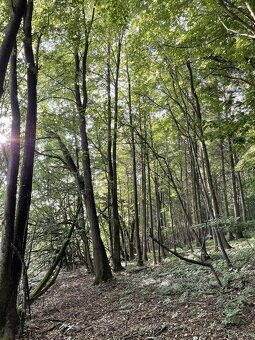 Prodám pozemky v k.ú. Útěchov u Moravské Třebové - 9