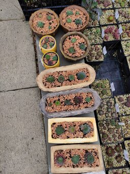 Betonové výrobky / pařez,misky,boty,veverky, ježek/ - 9