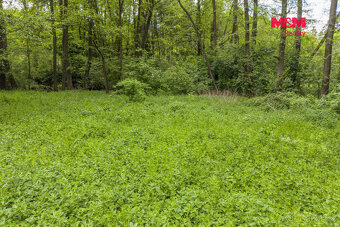Prodej lesa, 491 m², Bohouňovice I - 9