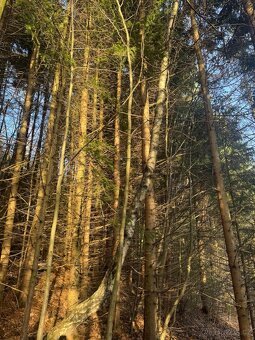 Prodej pozemků k.ú. Huslenky - 9