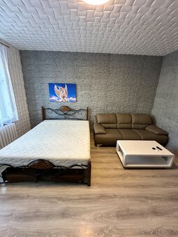 Pronájem bytu 1+1, 41m2, U Vlastního Krbu, Teplice - 9