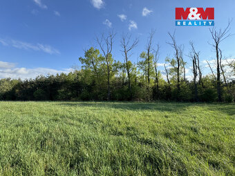 Prodej komerčního pozemku, 10254 m², Homole - 9