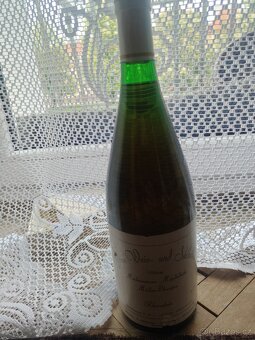 Vino - 9