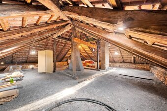 Rodinný dům s garáží, bytem a rozlehlou zahradou – Kralupy n - 9