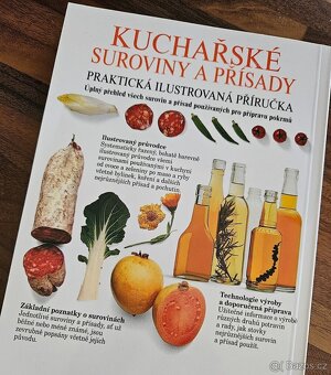 Velká česká kuchařka/Obrazová kuchařka/Rychlé pokrmy aj. - 9