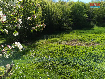 Prodej pozemku, 2141 m², Rychnov nad Kněžnou - 9