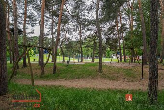Pronájem, byty/1+1, 39.55 m2, Lexova 2252, Zelené Předměstí, - 9