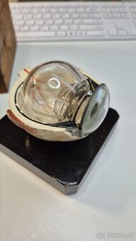 Starožitný model oka, Bock Steger, cca 1880 - 9