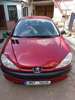 Peugeot 206 - 9
