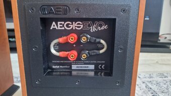 Acoustic Energy Aegis Evo Three - 9