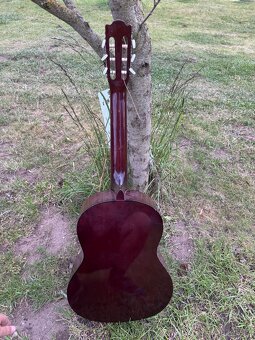 KYTARA SANTANA C-102 + STRUNY. - 9