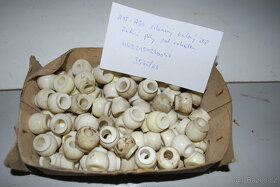 Avia A15 - A31 - řazení pod volantem - NOVÉ díly - 9