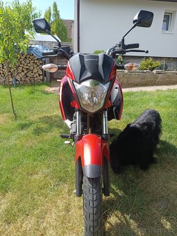 Honda GLR125 - 9