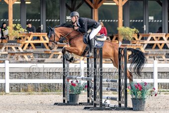 Conquistador x Cassini' s Son, TOP-charakter - 9