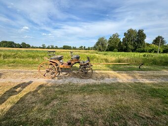 Koňská bryčka - 9