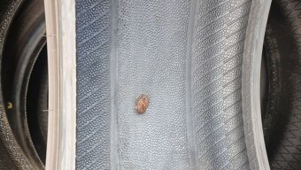 Letní pneu 215/45/18 Pirelli - 9