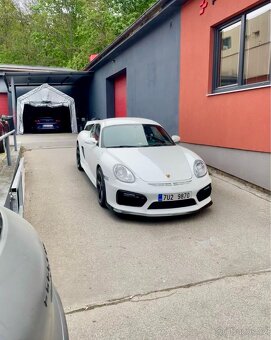 Porsche Cayman GT4/987 "Panda" Techart - 9