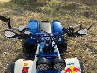 Yamaha Warrior 350 - 9