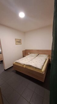 Pronájem bytu1+kk - 9