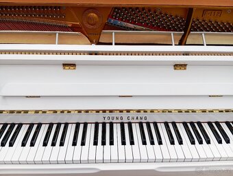 Bílé pianino Young Chang mod.112-Dovoz zdarma 24/7 - 9