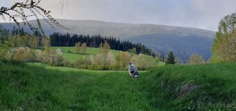 Netradiční dovolená v Krkonoších, se psem, přáteli, rodinou - 9