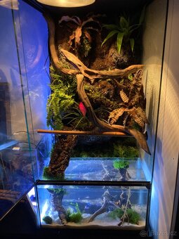 Terárium/Paludárium ReptiPlanet 45x45x90cm s 3D pozadím - 9