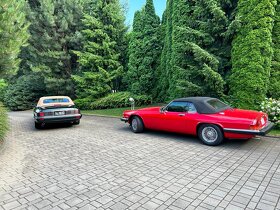 JAGUAR XJS CONVERTIBLE - 9