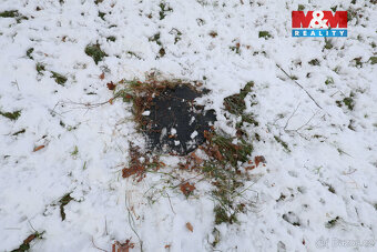 Prodej zahrady, 8163 m², Bernartice - 9