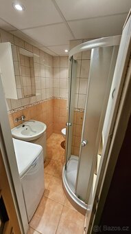 Pronájem bytu 1+kk, U Věžových domů 2936, Most - 9