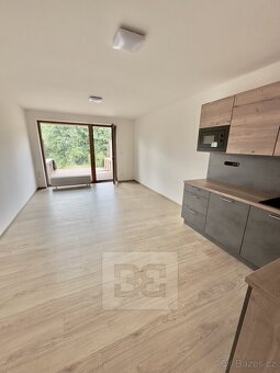 Pronájem bytu 1+kk, 35 m2, terasa 10 m2, zahrada 130 m2, GS - 9