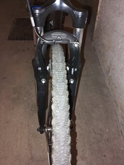 Kellys Axis - 9