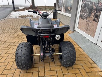 Linhai ATV 110 - 9