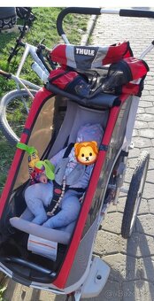 Thule Chariot CX 1 - 9