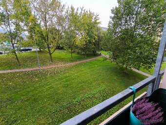 Zařízený byt 1+kk s lodžií, 33m2, Bukov, Baráčnická - 9