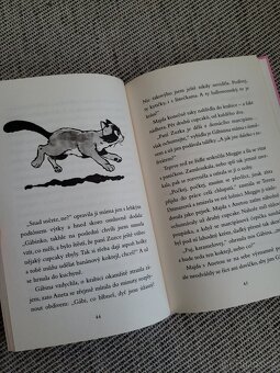 Kniha Papírová kočka - Simona M. Racková, nakl. Bambook - 9