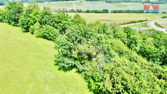 Prodej lesa, 12990 m², Vyšehoří - 9