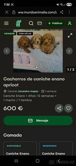 Pudl podvodníci ‼️‼️‼️ Stiahnuté fotky - 9