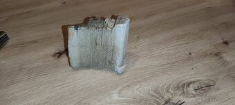 Zkamenělé dřevo – nález Žatecko, 4 kg, pěti barevné - 9