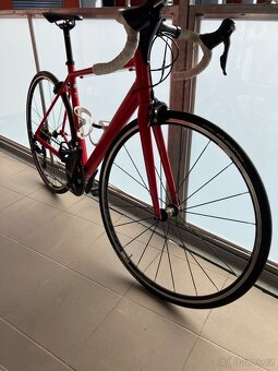 Canyon Endurace AL 7.0 WMN 2018 - 9
