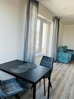 Pronájem bytu 1KK (42m2 + velký balkón 8m2) - 9
