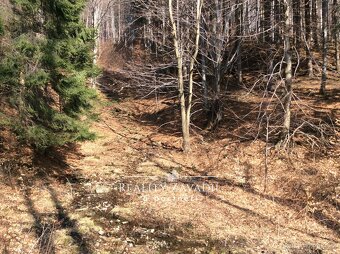 Prodej lesa 27 814 m², Morávka, ev.č. 00984 - 9