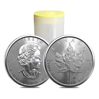 Stříbrné mince a slitky 10 oz - 9