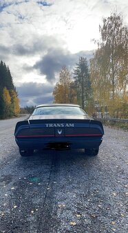 Pontiac Firebird 5.0 V8 1981 - 9