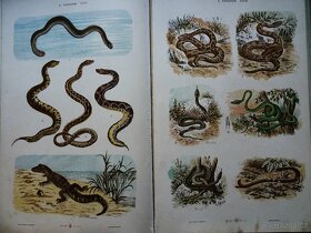 GROSSER HANDATLAS - 9