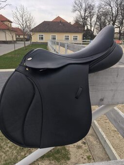 KenTaur Midas - 9