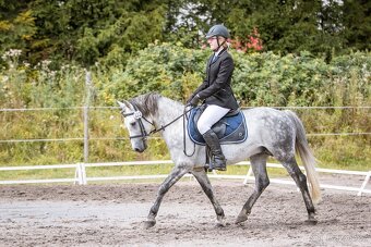 Připouštění hřebcem ČSP 2352 Lucky - 9
