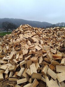 Palivové dřevo - 9