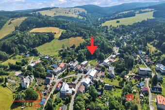 Prodej, pozemky/komerční, 2963 m2, Olešnice v Orlických horá - 9